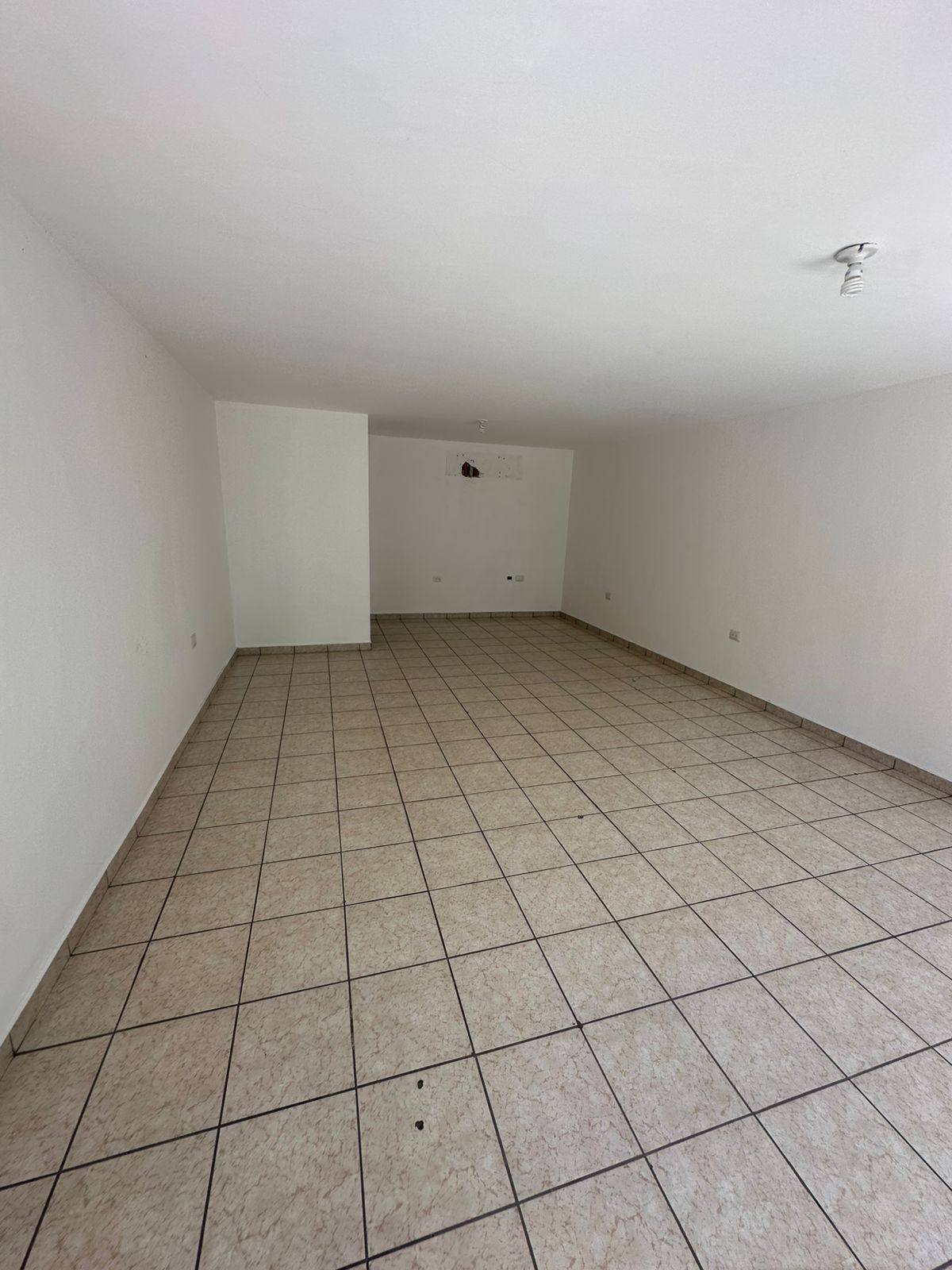 local comercial - Las Quintas - Culiacán Rosales