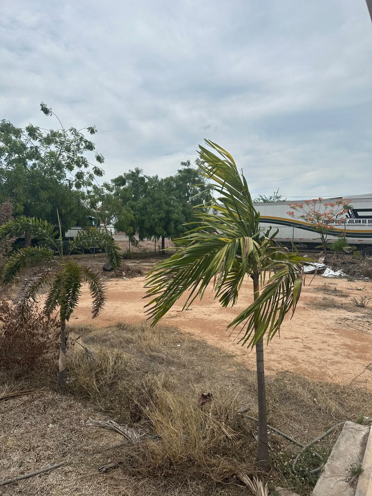 terreno - Culiacán - Foto 4