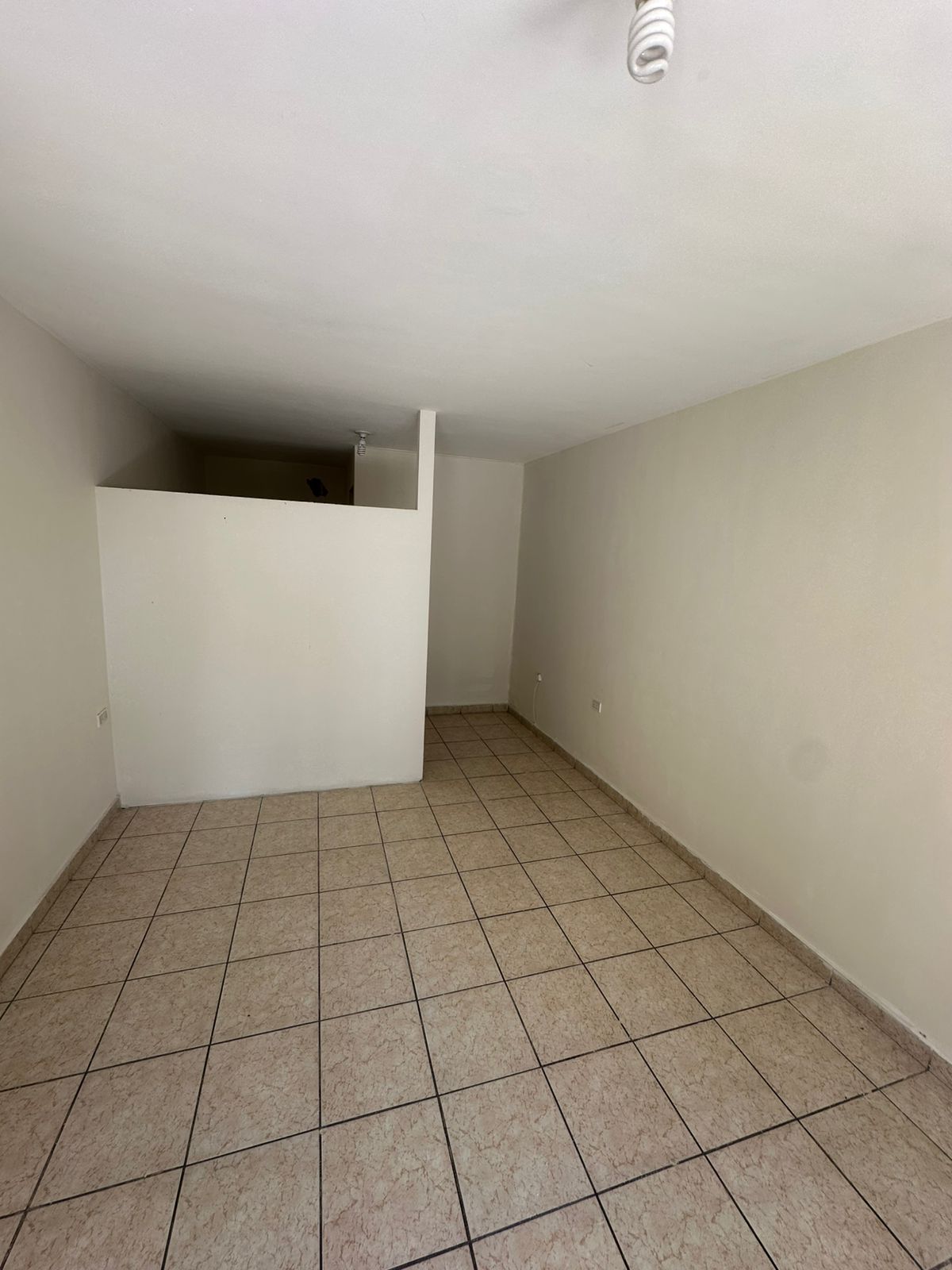 local comercial - Las Quintas - Culiacán Rosales