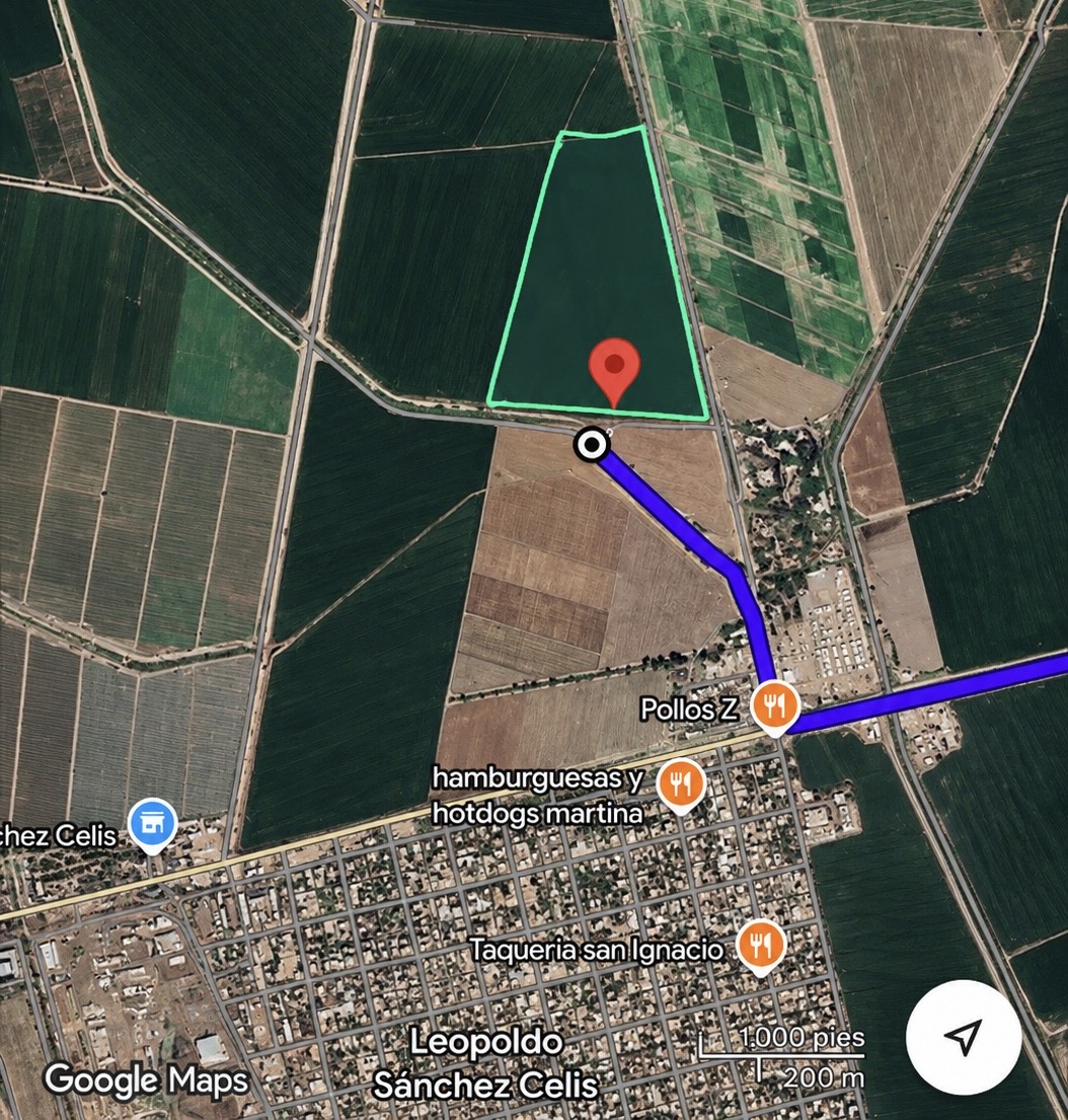 TIERRAS SANCHEZ CELIS