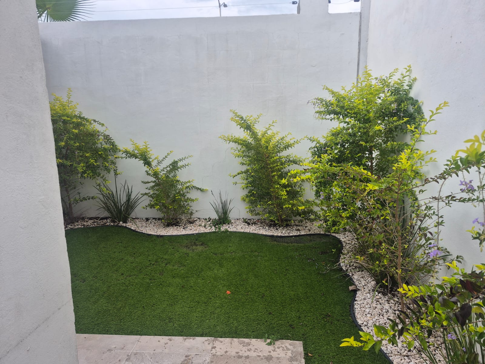 casa - BENEVENTO venta - Culiacán - Foto 11