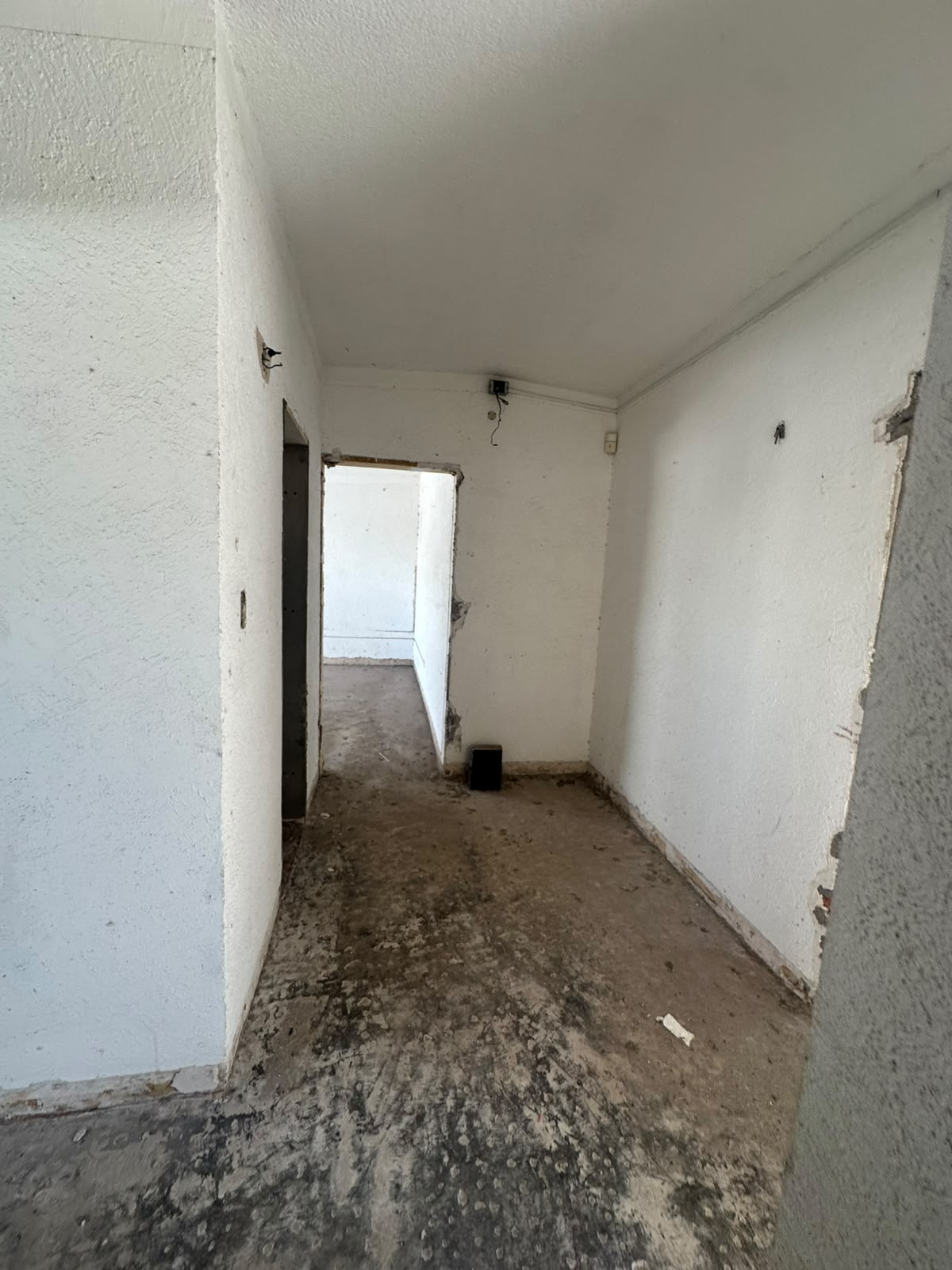 casa - Las Quintas - Culiacán Rosales - Foto 7