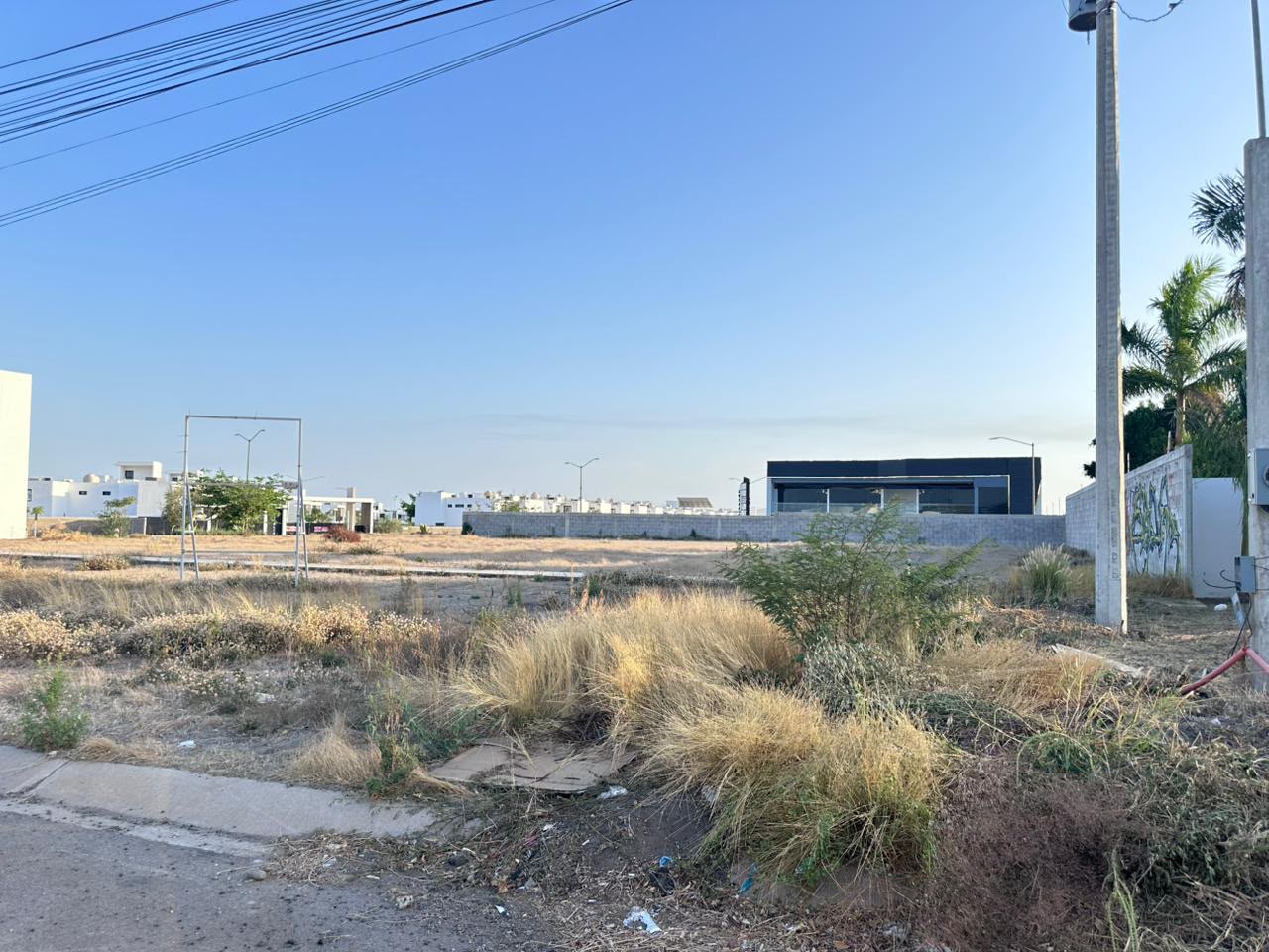 Terreno Vitalia (Sobre Carretera Int) - Foto 7