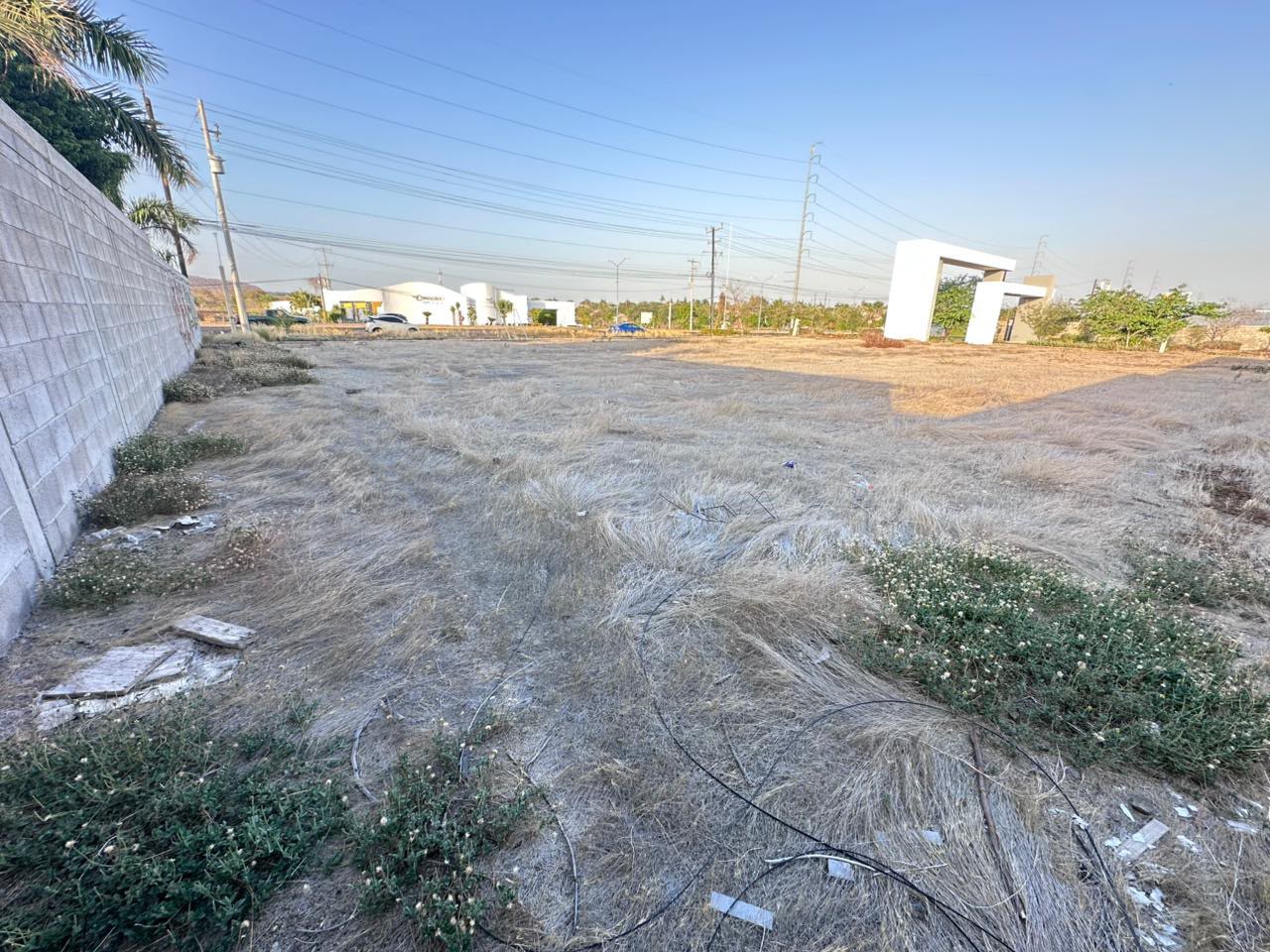 Terreno Vitalia (Sobre Carretera Int) - Foto 3