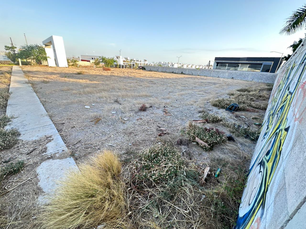 Terreno Vitalia (Sobre Carretera Int) - Foto 5
