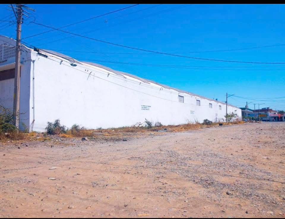 bodega - El Palmito - Culiacán - Foto 5