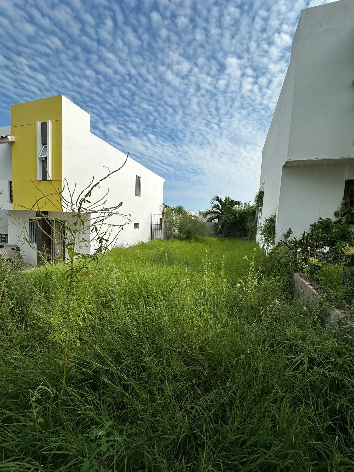 Terreno Venta Privada Americana - PERISUR - Foto 2