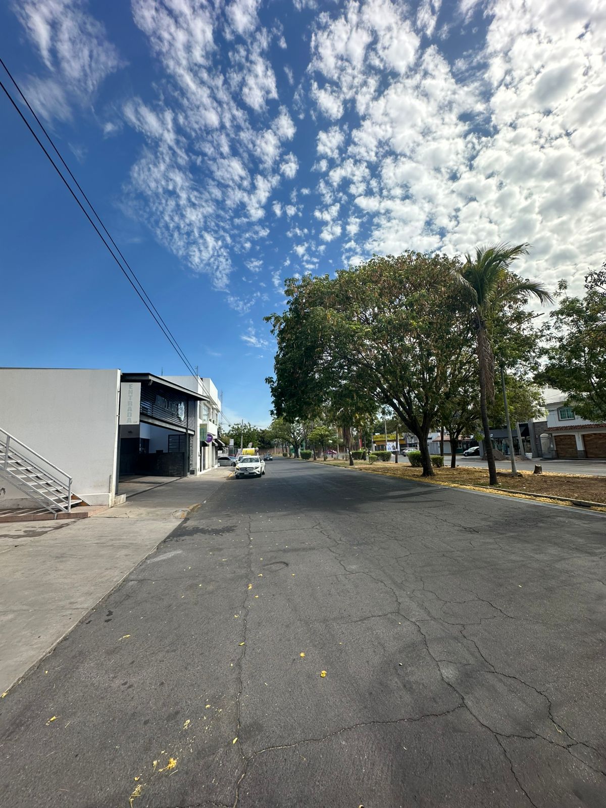 local comercial - Las Quintas - Culiacán Rosales - Foto 5