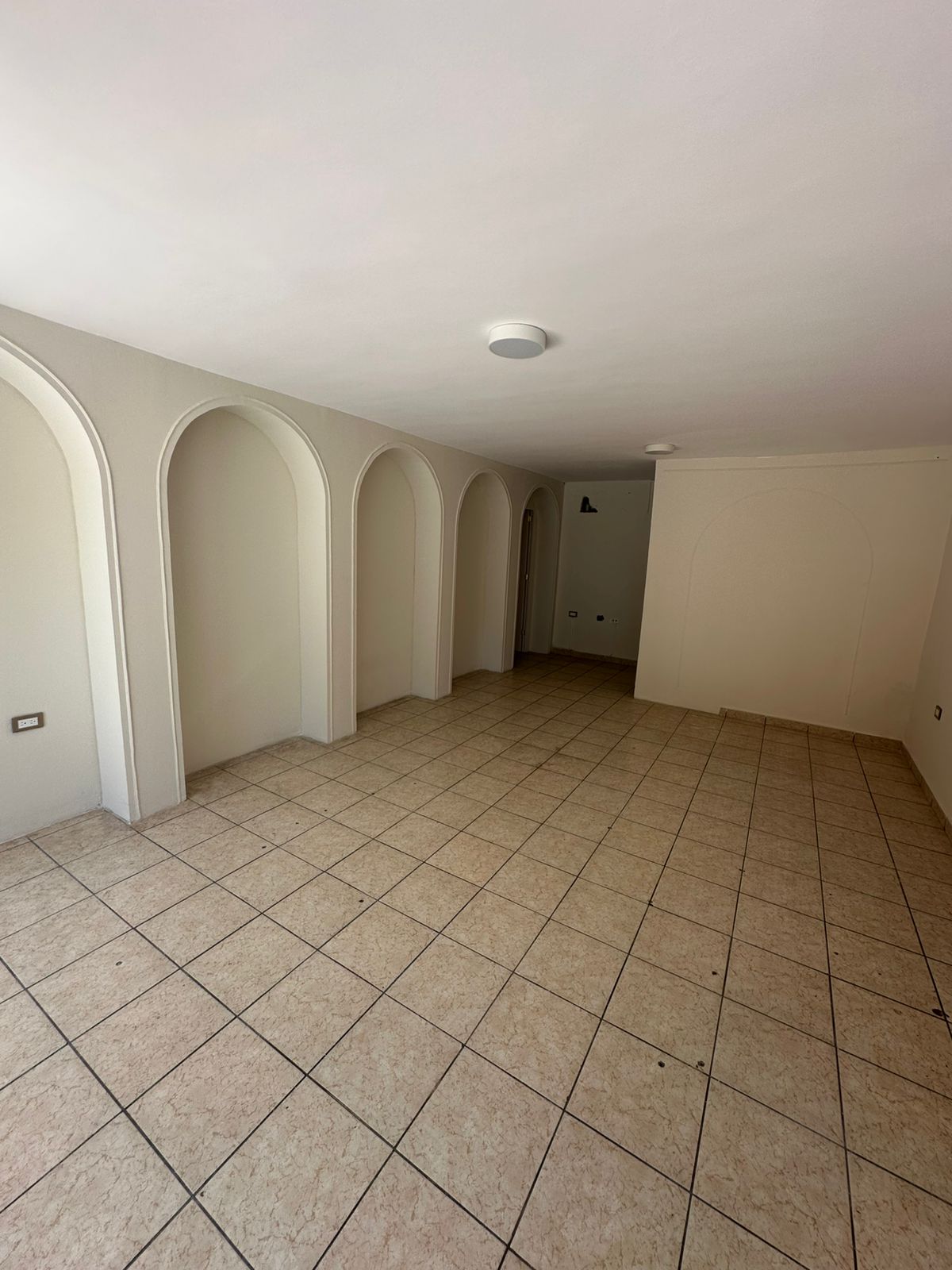 local comercial - Las Quintas - Culiacán Rosales