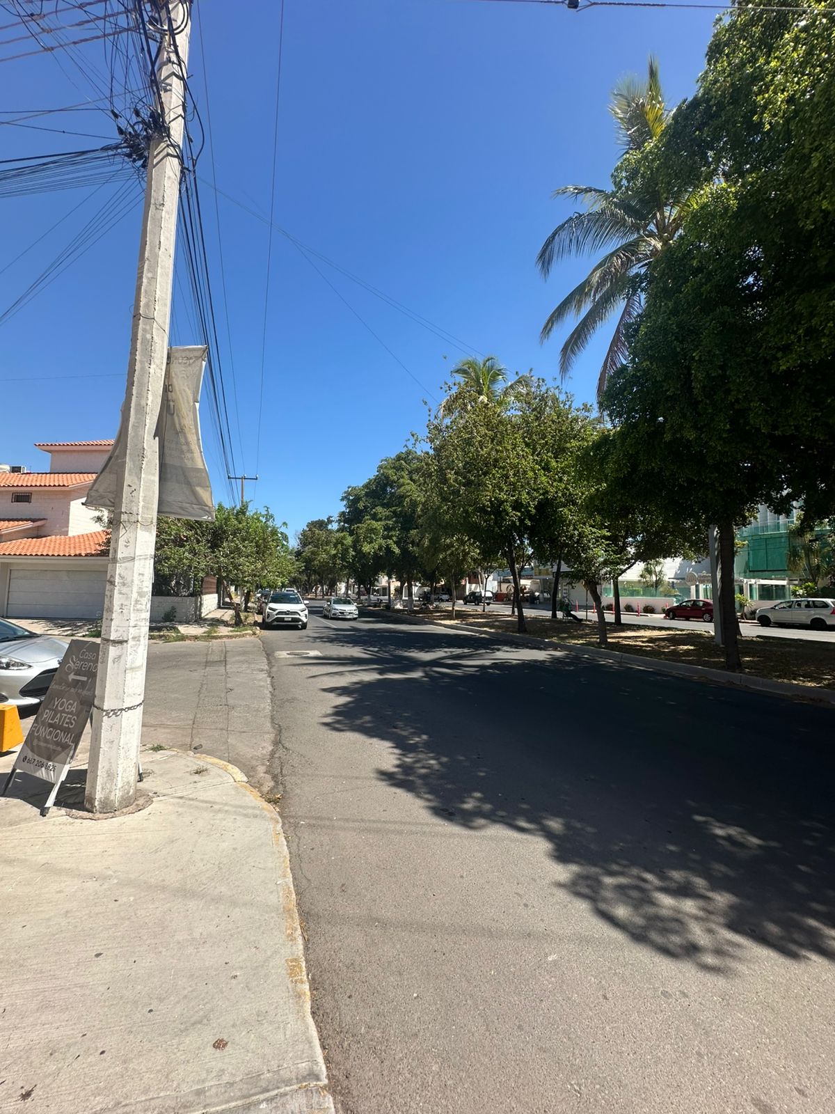 local comercial - Las Quintas - Culiacán Rosales - Foto 6