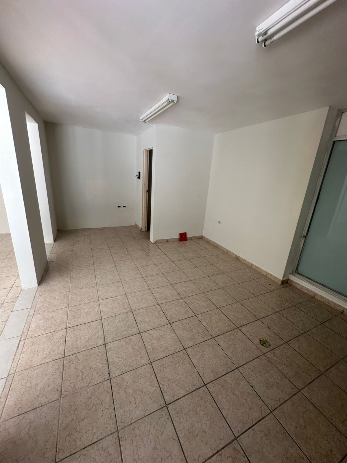 local comercial - Las Quintas - Culiacán Rosales - Foto 3