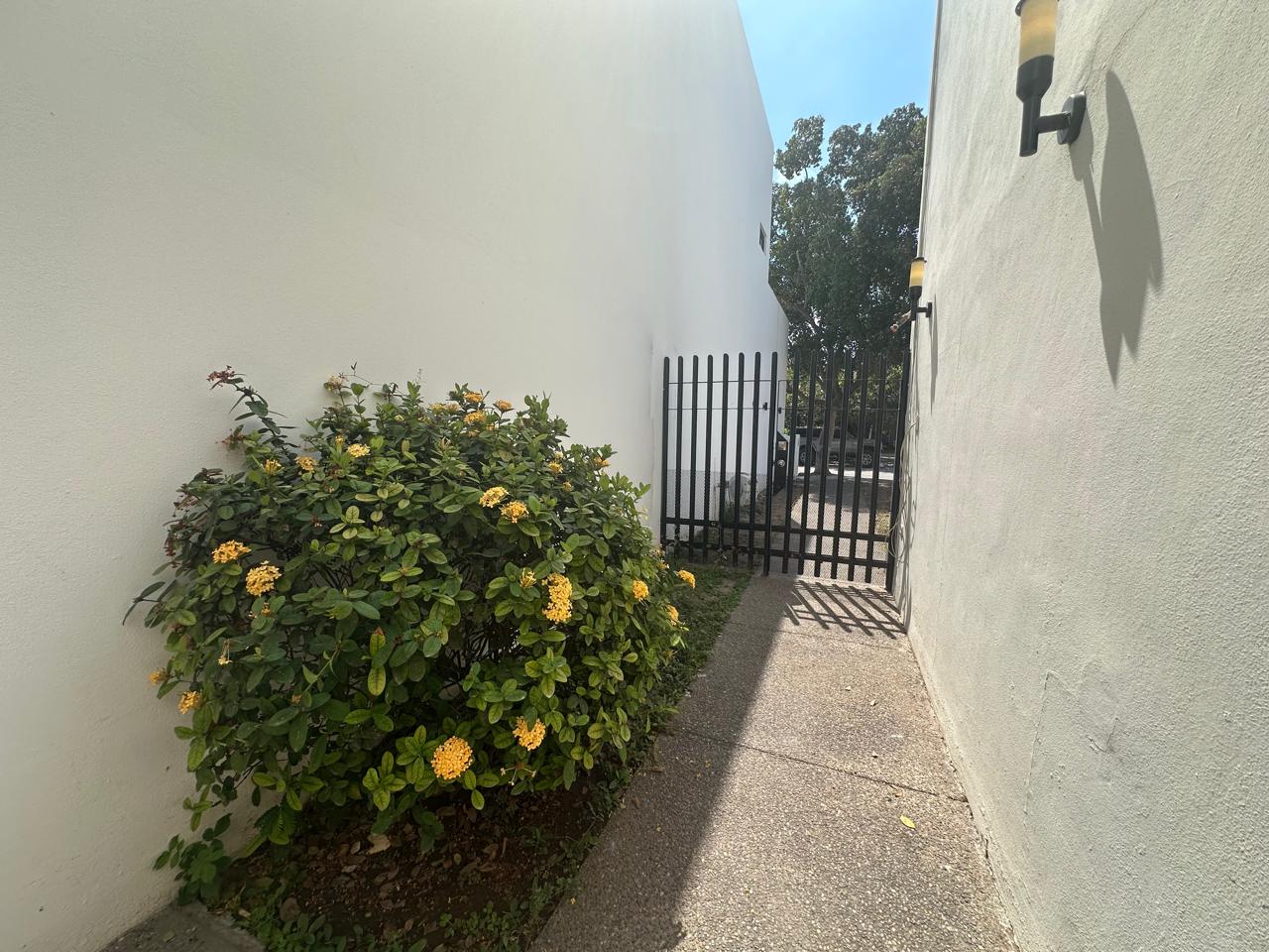 Casa - salduero banus - Culiacán - Foto 10