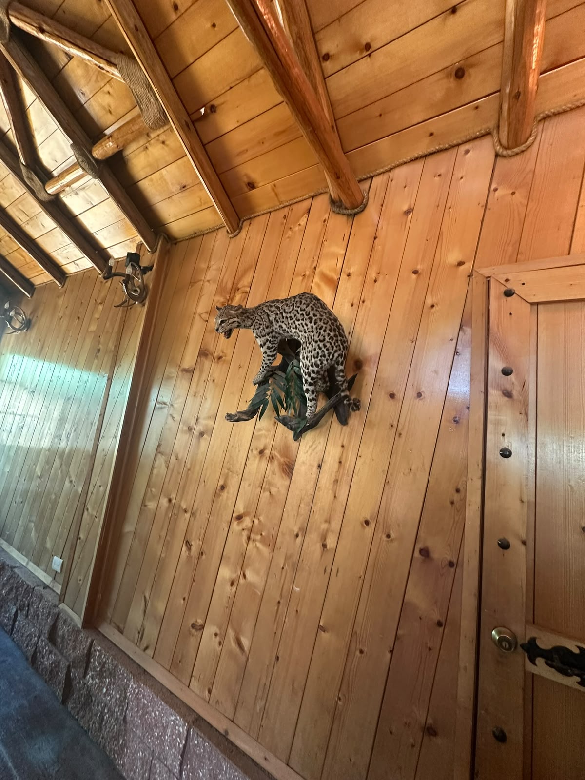 Rancho en Los Agaves - VENTA - Foto 21
