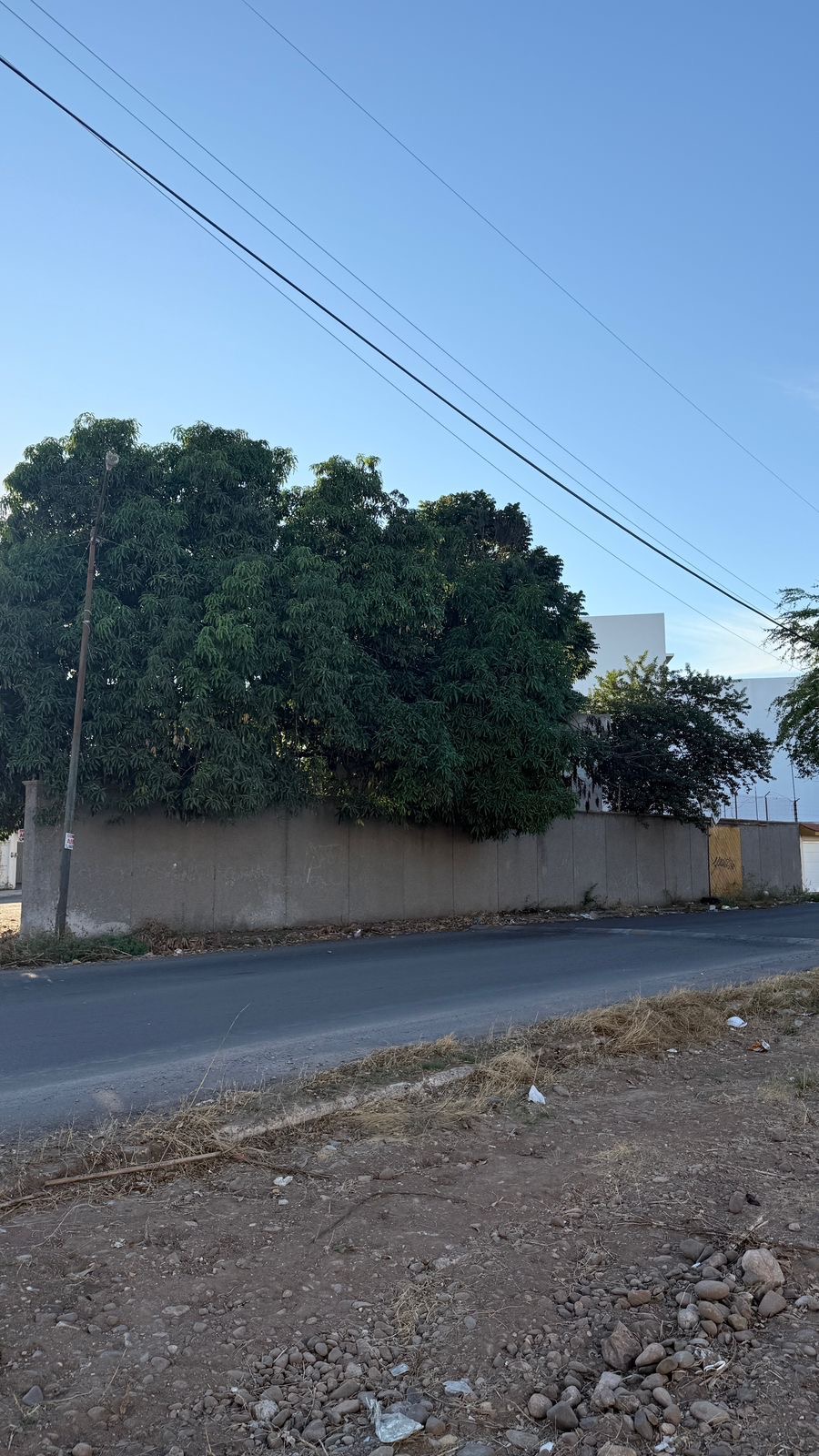 terreno - La Campiña - Culiacán Rosales