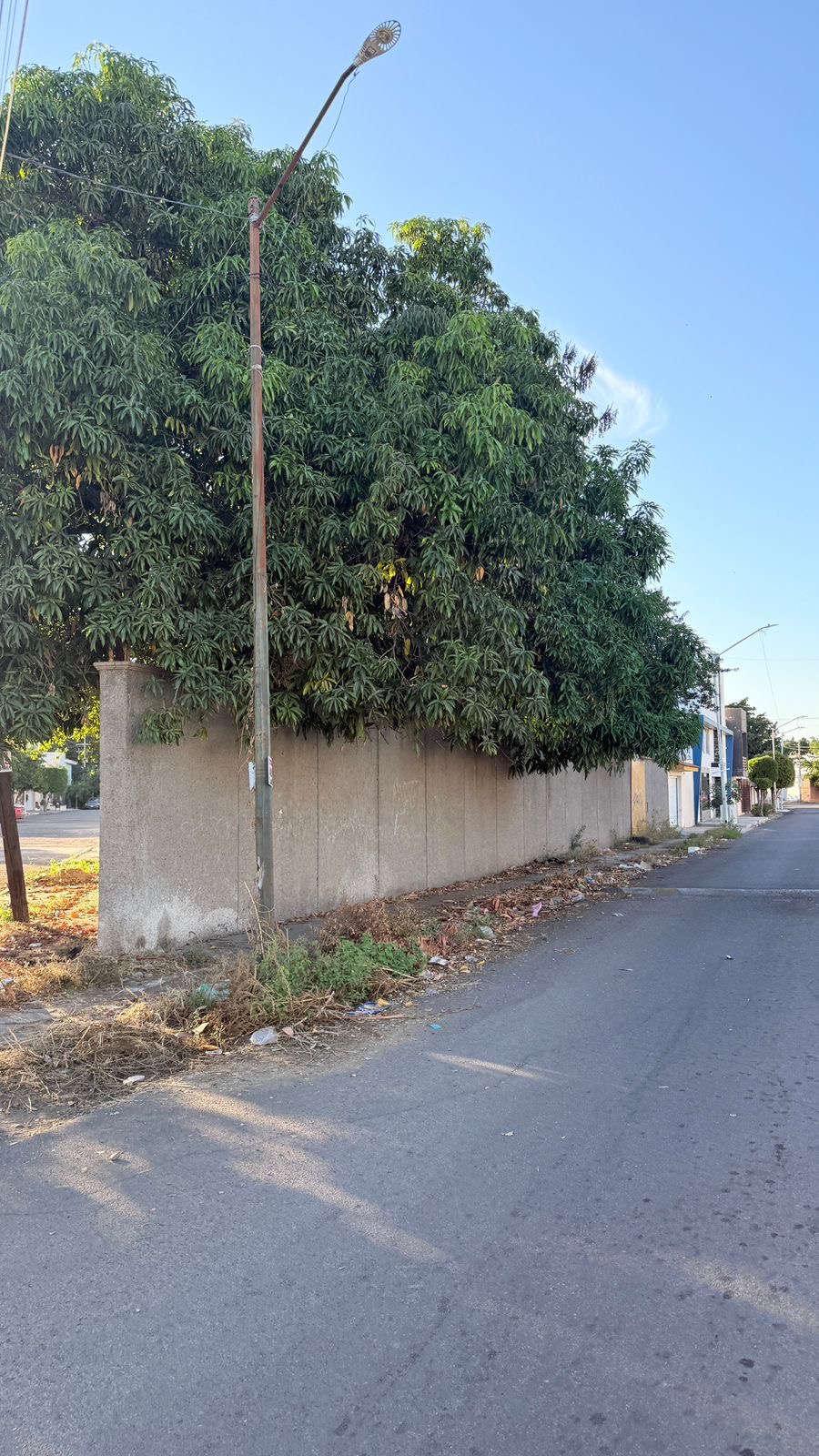 terreno - La Campiña - Culiacán Rosales - Foto 2