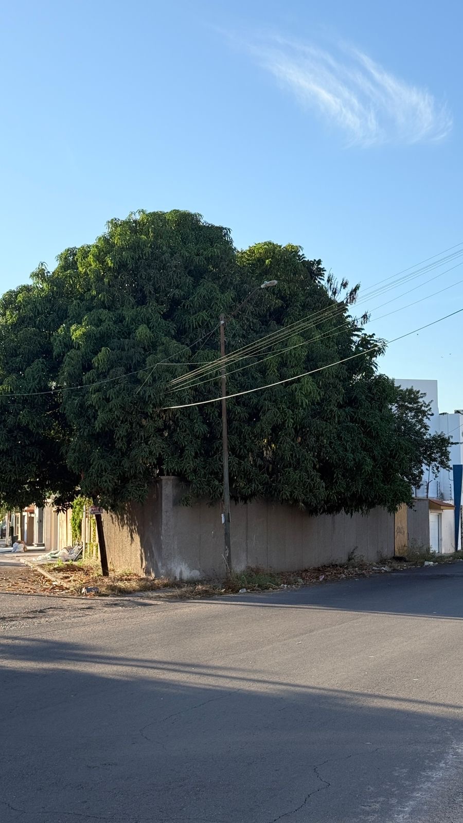 terreno - La Campiña - Culiacán Rosales - Foto 3