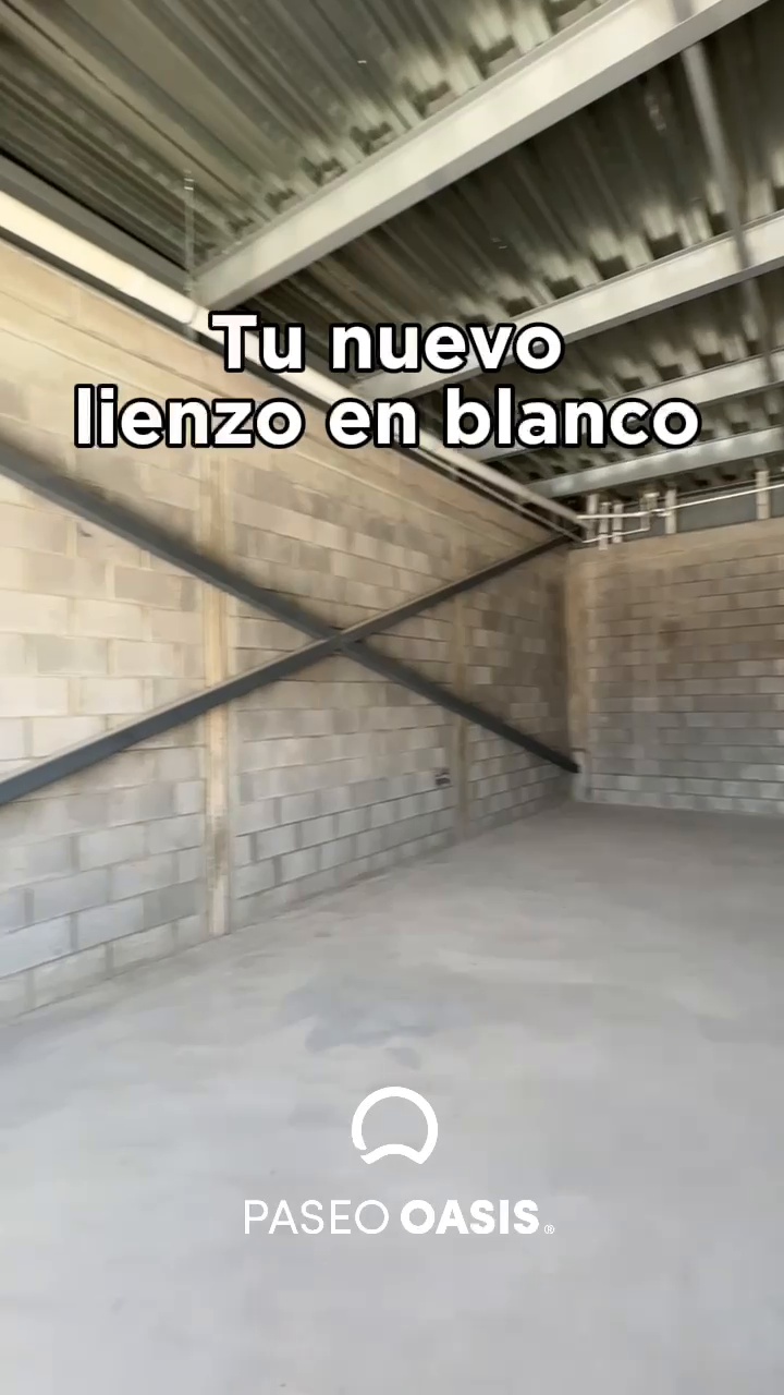 Local 3 Planta Baja - Plaza Oasis - Culiacán - Foto 3